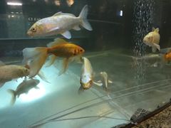 -中影国际影城(兰生大厦CINITY LED店)