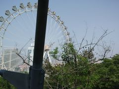-富斯特索道