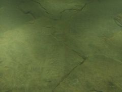 -白鹤梁水下博物馆
