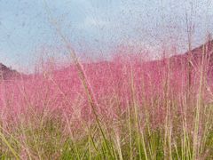 -东钱湖旅游度假区