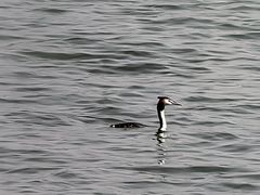 -池州市平天湖风景区