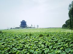 -阳澄湖半岛旅游度假区