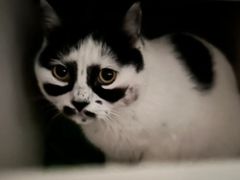 -舒家大院重庆老火锅(纪念塔店)