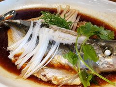 钱湖四宝-朋鱼-宁波柏悦酒店·钱湖渔港