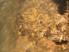 -广州市流溪河国家森林公园