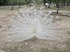 -哈尔滨北方森林动物园