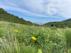 -白草畔自然风景区