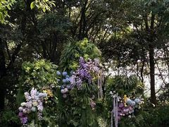 -怪咖·joker陈楠