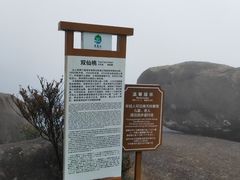 -玉苍山国家森林公园