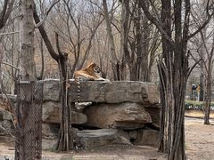 -秦皇岛野生动物园