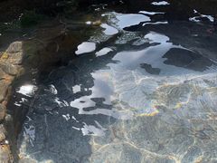 -明月山天沐温泉度假村