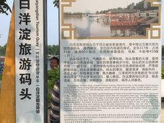 -白洋淀景区