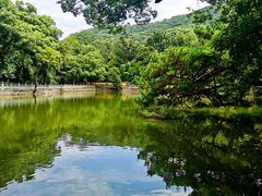 -阿育王寺素斋馆