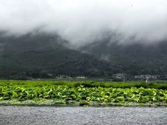 -腾冲北海湿地