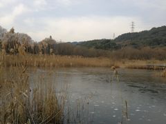 -西湖风景区-江洋畈生态公园