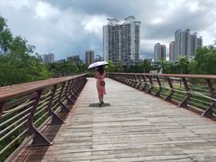 -金鸡岭桥头公园