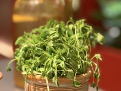 -牛村来人潮汕牛肉火锅(西单店)