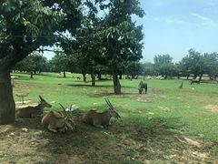 -西安秦岭野生动物园