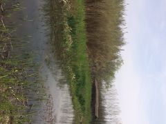 iphone_upload_pic-溱湖国家湿地公园