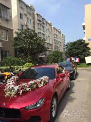 -蚂蚁婚车