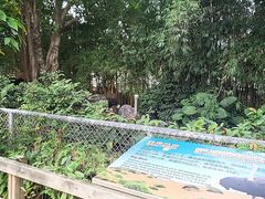 -广州长隆飞鸟乐园