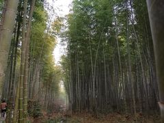 -天目湖御水温泉·度假酒店