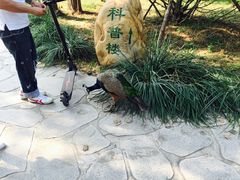 -北京麋鹿生态实验中心