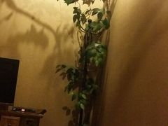 -莱仪堂艾灸经络养生馆(九亭一店)