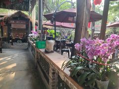 -园林美食城·本土农家菜(杨和镇店)