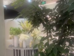 -小仙女采耳·按摩·SPA(深圳旗舰店)