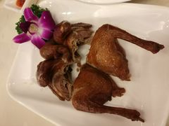 -锦粤宫·精致粤菜(深圳北站店)