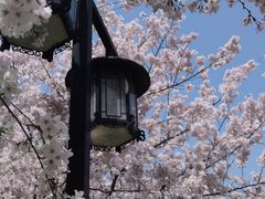 -苏州上方山国家森林公园