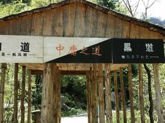 -青峰峡国家森林公园