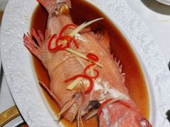 -雍容荟活波龙自助餐(IFS黑金店)