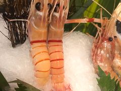 -割烹旭日本料理(龙湖狮山天街店)