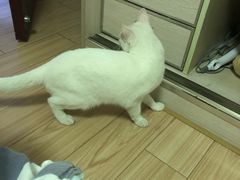 -五台山游泳馆