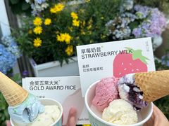 -苏小糖(鼓浪屿三丘田花园店)
