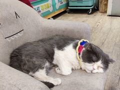 -小时光咖啡馆(开森度假森林店)