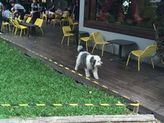 -莓园冰淇淋店