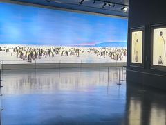 -罗红摄影艺术馆