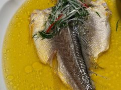 鸡汁蒸黄鱼-秀儿四九城·新京菜(亚运村鸟巢店)