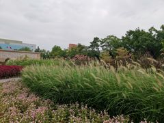 -映月湖公园