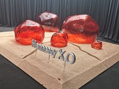 -精绝七日-新疆尼雅遗址数字大展【拉法耶文化艺术中心】