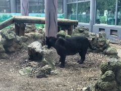 -昆明动物园