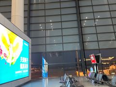 -郑州新郑国际机场-T2航站楼