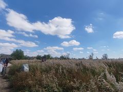-黄沙古渡原生态旅游区