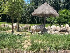 -北京野生动物园