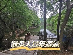 -青龙山国家森林公园