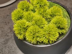 -鸽子侯·家宴·平价海鲜(绿地店)