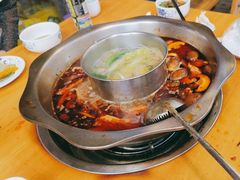 -金鼎雪山牦牛杂火锅(理县总店)